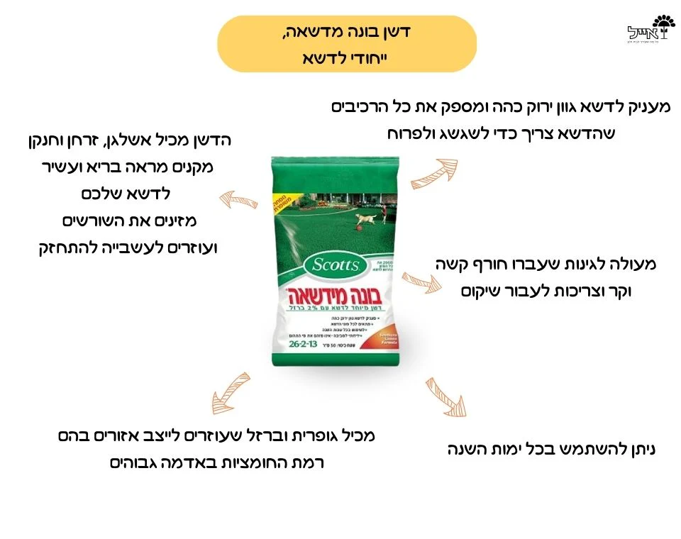 בונה מדשאה | דשן מקצועי לדשא ירוק, צפוף וחזק | 50 מ"ר | 1 ק"ג - Image 2