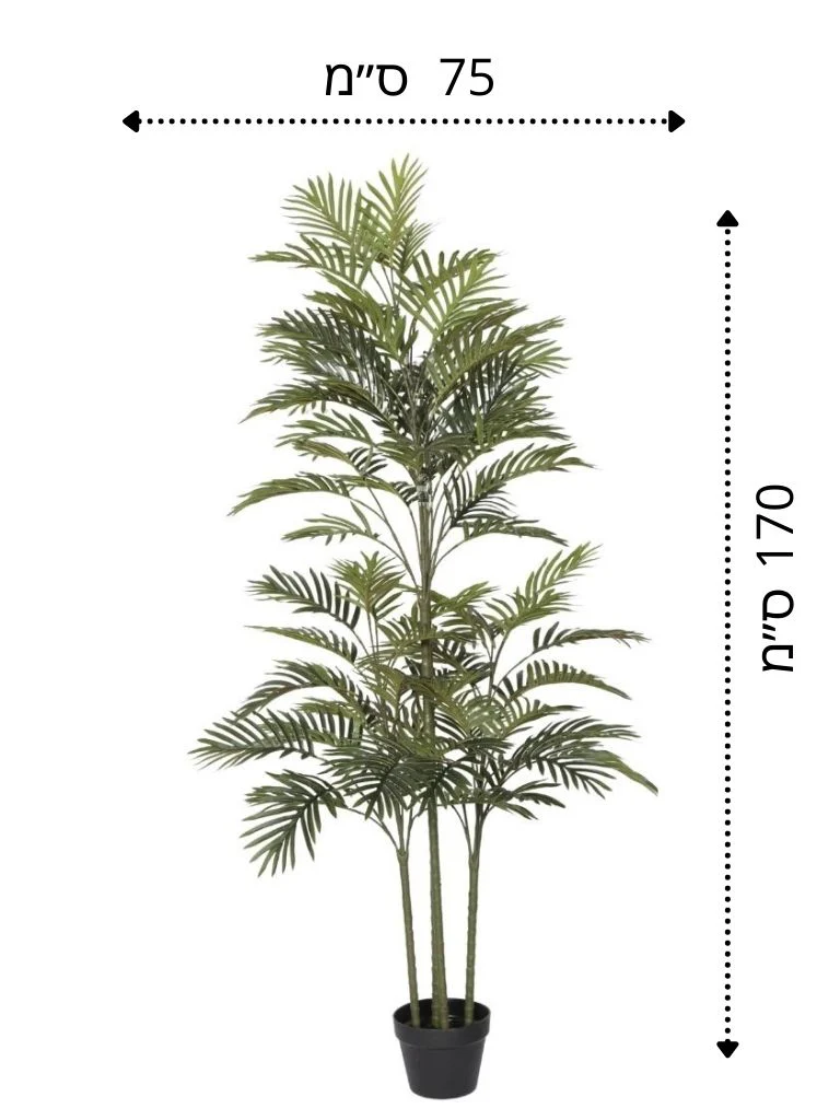 תמונה ממוזערת 1