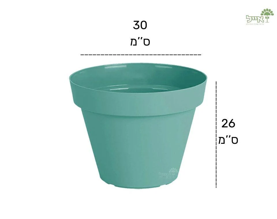 עציץ אביב | מנטה | קוטר 30 ס"מ - Image 2