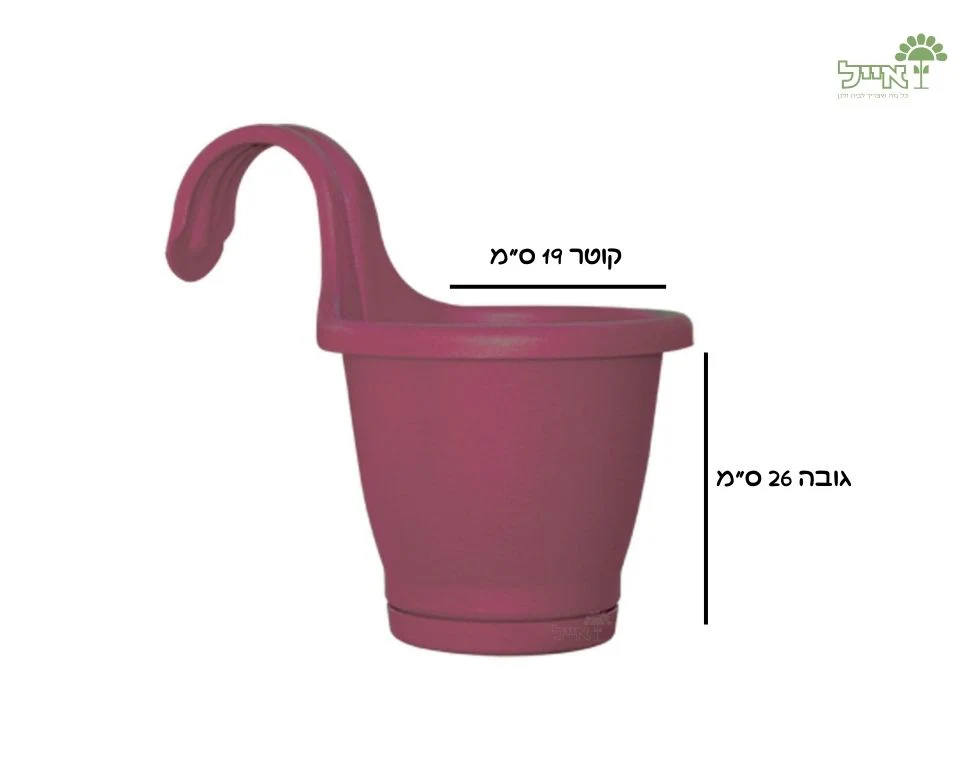 תמונה ממוזערת 2