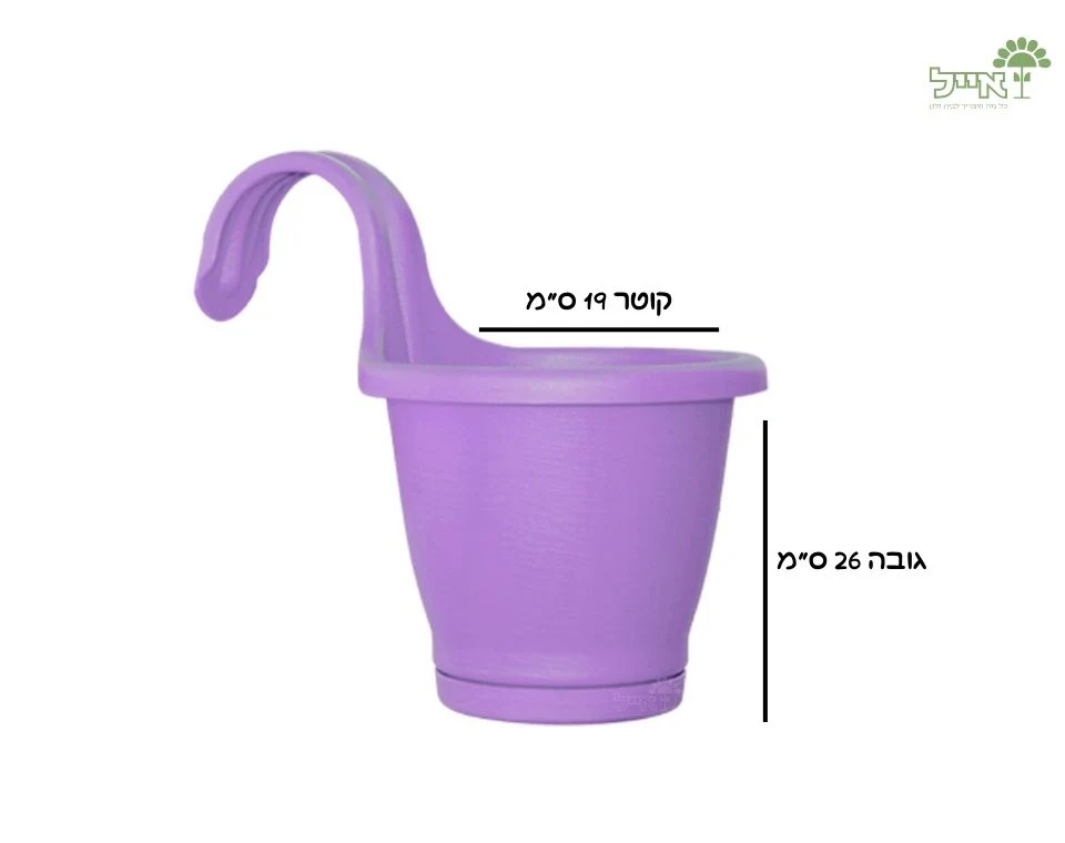תמונה ממוזערת 2