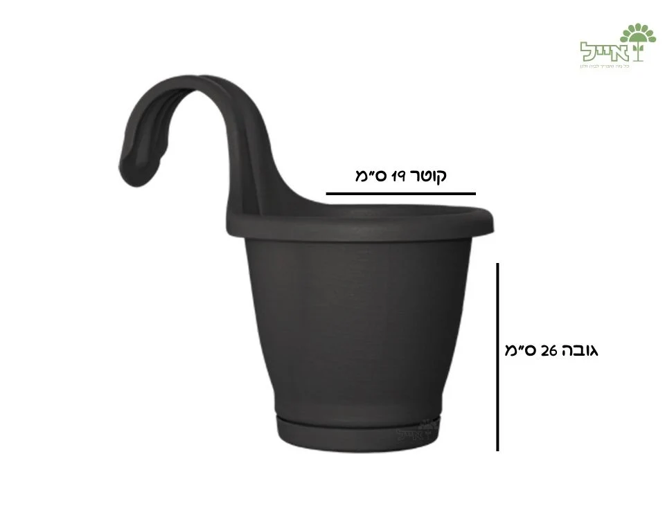 תמונה ממוזערת 2