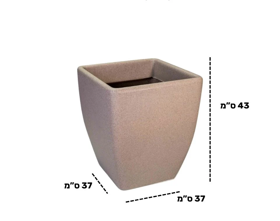 תמונה ממוזערת 2