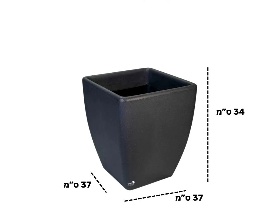 תמונה ממוזערת 2