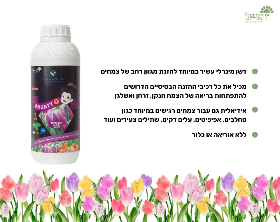 תמונה ממוזערת 2
