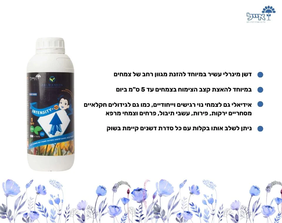 תמונה ממוזערת 2