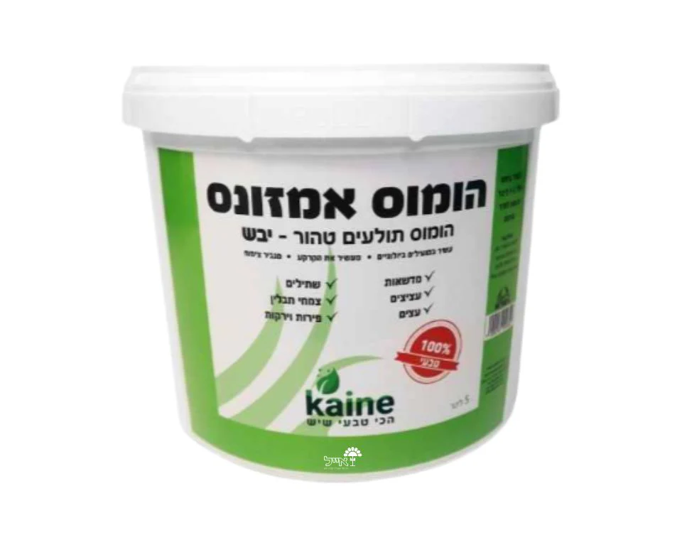 תמונה ממוזערת 1